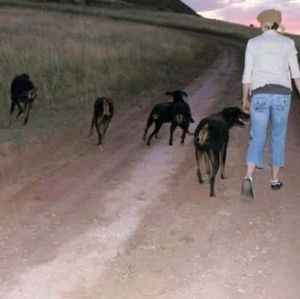 Meet your Posher, Angie